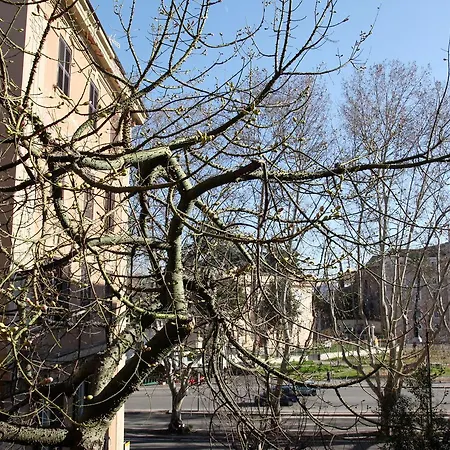 T&V House